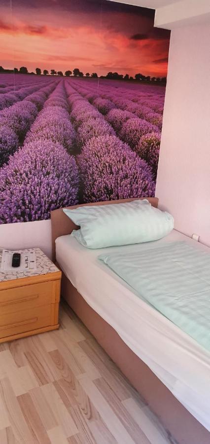 Hotel Gasthaus Felseneck Staufenberg  Esterno foto